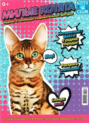 Мультяшные коты - картинки и фото koshka.top