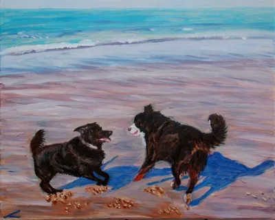 две собаки играют на пляжном щенке сидят на закате в морской воде на  пляжном диком фельдандспаниеле Иллюстрация штока - иллюстрации  насчитывающей трава, вечер: 275196944