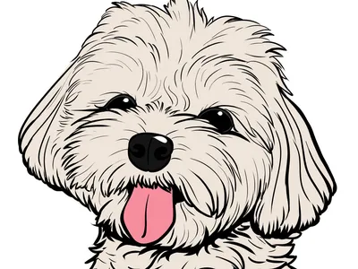 рисунок японская любимая мультяшная собака PNG , рисунок автомобиля,  мультфильм рисунок, рисунок собаки PNG картинки и пнг рисунок для  бесплатной загрузки