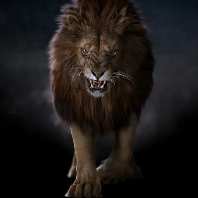 Фотогалерея \"Львы\" - \"Голова льва в профиль\" - Фото диких кошек