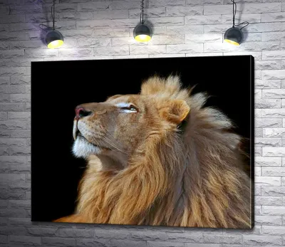 Профиль льва стоковое фото. изображение насчитывающей персона - 99946734