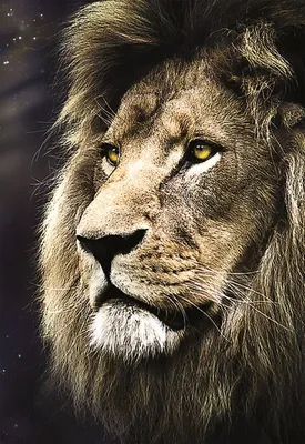 Профиль льва с алмазом в лапах» — создано в Шедевруме