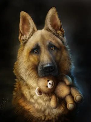 Аватарки для собак (70 фото) - картинки sobakovod.club