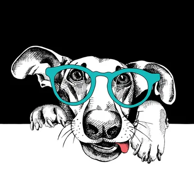 Аватарка для форума с мордой собаки, скачать картинку на SY