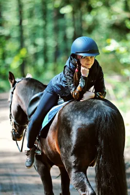 Как правильно сидеть на лошади? – erelki.ru