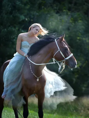 женщина-наездница проводит время со своей любимой лошадью на свежем воздухе  Стоковое Фото - изображение насчитывающей природа, влюбленность: 272709028