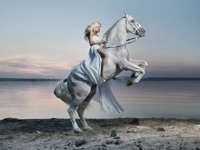 Женская погоняющая наездница. Стоковое Фото - изображение насчитывающей  лошадиный, лошадь: 244673394