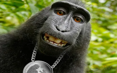 Прикольные рисунки обезьяны - 67 фото