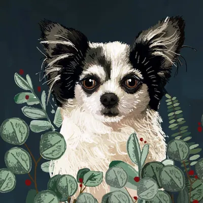 Нарисованные рисунки собак и кошек разных пород