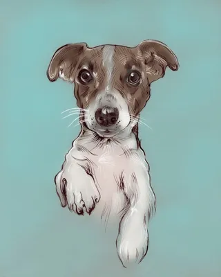 Боксер Мальтийский кобель Puppy Cuteness, собака, млекопитающее,  нарисованные png | PNGEgg