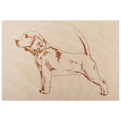 Ротвейлер Puppy Cuteness, нарисованная собака, акварельная живопись,  млекопитающее, животные png | Klipartz