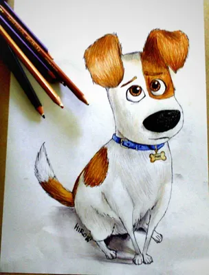Нарисованная собака ротвейлер - обои для рабочего стола, картинки, фото