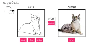 два кота дерутся на кулаках, кот смешные картинки с надписями, кошка,  смешной фон картинки и Фото для бесплатной загрузки