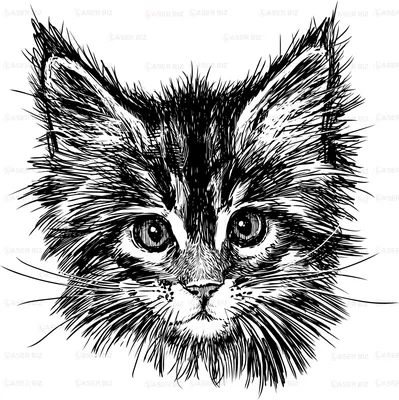 Нарисованный кот » maket.LaserBiz.ru - Макеты для лазерной резки