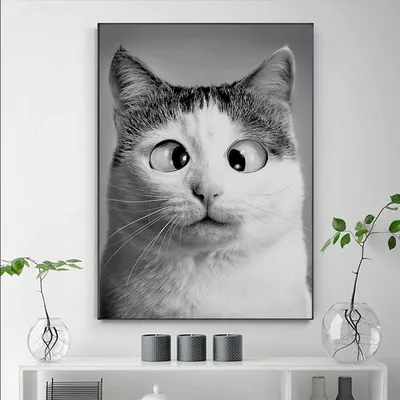 Коты, #Радуга, #аватары, #картинки, #арт | Картинки, Кот, Собаки