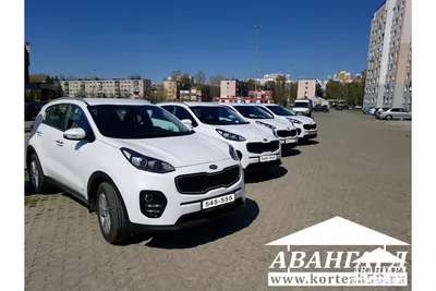 В Калининграде стартовало производство Kia Sportage пятого поколения