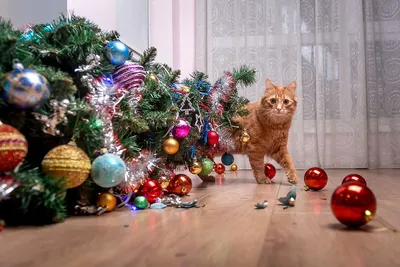 Онлайн пазл «Новогодние коты»