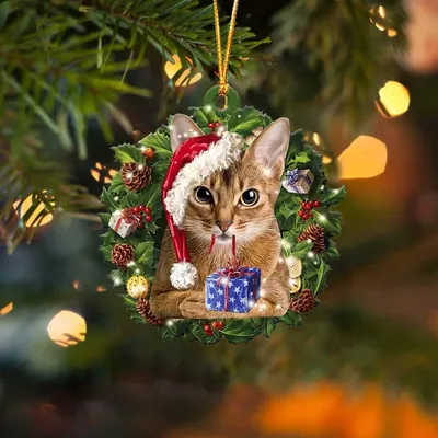 Милый рождественский кот концепция празднования рождества и нового года |  Премиум Фото