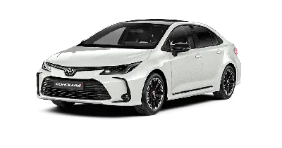 Новая Тойота Королла 2019 … убила. — Toyota Corolla (160), 1,6 л, 2013 года  | наблюдение | DRIVE2