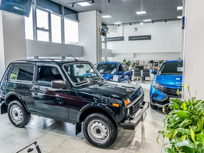 Lada стала лидером продаж в сегменте новых авто в Новосибирской области —  РБК