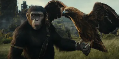 Планета обезьян: Война, 2017 — описание, интересные факты — Кинопоиск