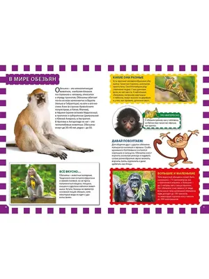 Наши питомцы | Бердянский зоопарк «Сафари»