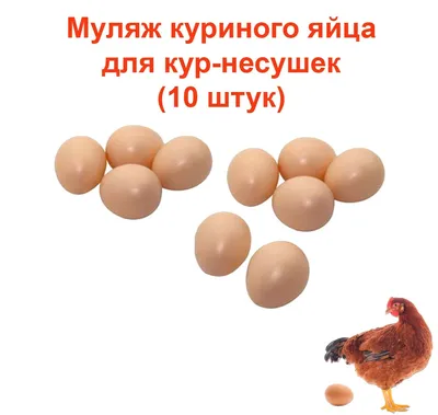 Дизайнерские куриные инкубационные яйца яйца Snuffling Mat с игрушками  домашнее животное одеяло