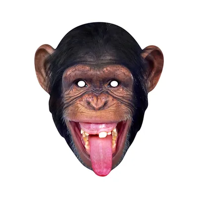 Портрет обезьяны с языком стоковое изображение. изображение насчитывающей  язык - 45755783