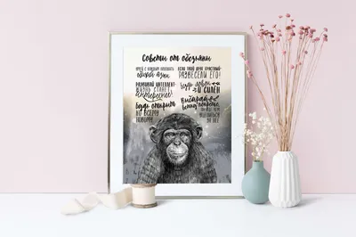Советы от обезьяны - открытка - купить в интернет магазине