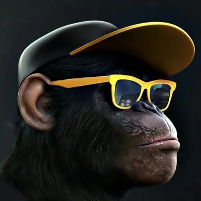Обезьянка в очках - 31 фото | Очки, Примат, Веселые обезьяны