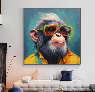 Модный обезьяний лук: орангутанг примерила очки, которые потеряла  посетительница зоопарка. Видео - МЕТА