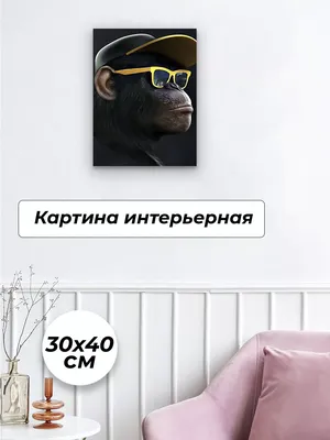 портрет обезьяны в солнечных очках на курорте. создан Иллюстрация штока -  иллюстрации насчитывающей праздник, песок: 274099328