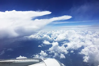 Вид из самолета днем в 2023 г | Вид, Самолет, Облака