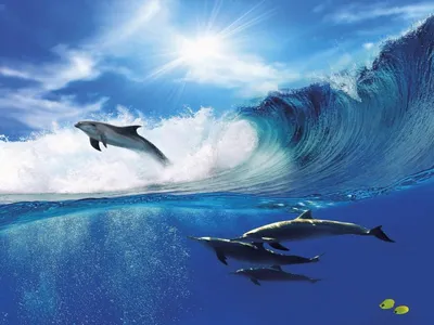 Фотообои Дельфины в море на стену. Купить фотообои Дельфины в море в  интернет-магазине WallArt