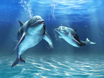 Дельфины - Фотообои на заказ в интернет магазин arte.ru. Заказать обои  Дельфины Арт - (16207)