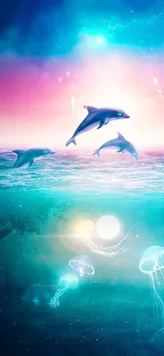 Dolphin Wallpaper | Dolphin art, Wallpaper, Iphone wallpaper