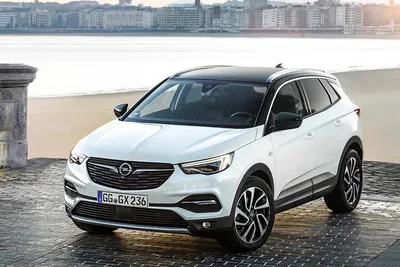 Opel возвращается в Россию с моделью Grandland X | Обзор Авто | Дзен