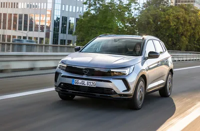 Каким получится новый кроссовер Opel Grandland X: авто показали на первом  изображении – Автоцентр.ua