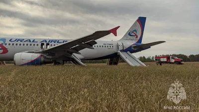 Чудом увернувшийся от падающего самолета американец попал на видео - РИА  Новости, 15.09.2019