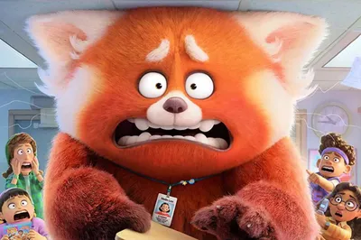 Красные панды и деликатные темы: обзор мультфильма «Я краснею»