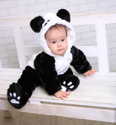 Panda, I love you, портрет малыша панды, принт в магазине «Открытки из  Петербурга» на Ламбада-маркете