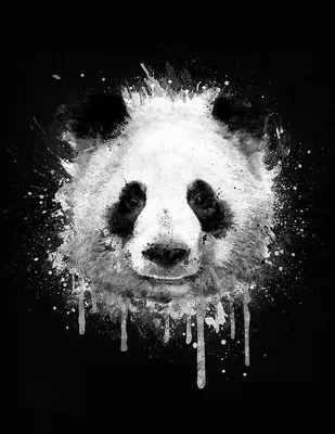 Pin by Лютая_Например on Love Pandas | Panda art, Panda painting, Panda  drawing
