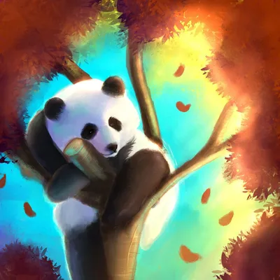 Панда милая - 65 фото