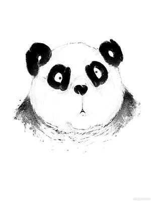 Смешные и креативные фото панд …» — создано в Шедевруме