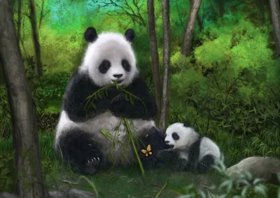 Обои для рабочего стола Красная панда и ее удобная ветка фото - Раздел  обоев: Медведи (Животные)