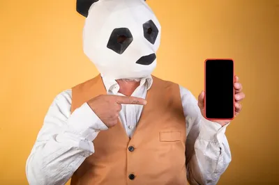 Наклейки на телефон набор стикеров Милые панды 21 шт купить по низким ценам  в интернет-магазине Uzum (850501)