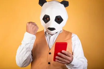 Музыкальный телефон «Милая панда», звук, свет 7508061 ZABIAKA купить по  цене от 362руб. | Трикотаж Плюс | Екатеринбург, Москва