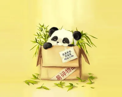Детеныш панды, панда, милый Обои 1284x2778 iPhone 12 Pro Max