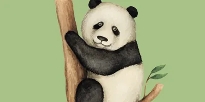Пин от пользователя Назира Маймышева на доске Милые рисунки | Рисунок панды,  Рисунок обезьяны, Легкие рисунки