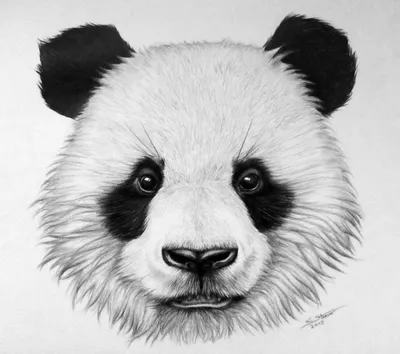 Пин от пользователя Slanova Lenovic на доске Nails | Рисунки, Милые  рисунки, Рисунок панды